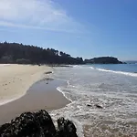 Sarga Cabañas