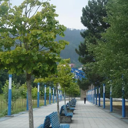 Sarga
