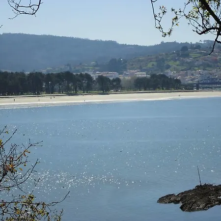 Sarga