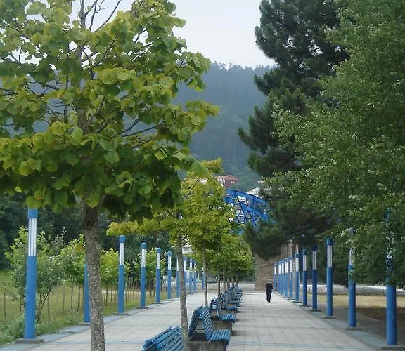 Sarga