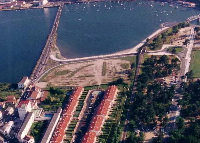 Sarga
